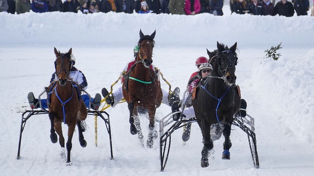 官方：荷甲第14轮阿贾克斯vs格罗宁根将于周二闭门进行