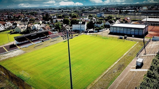 踢球者：拜仁计划1月再谈格纳布里和格雷茨卡续约