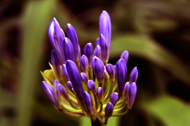 皇家马德里 皇家马德里