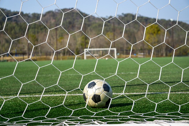 的一部分 的一部分