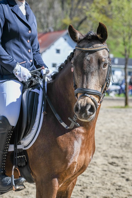 攻坚上都游 攻坚上都游