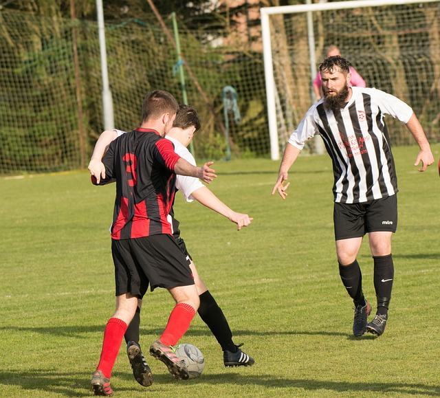 这不仅提升 这不仅提升