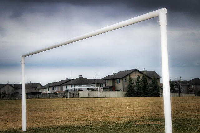 阿尔瓦雷斯 阿尔瓦雷斯